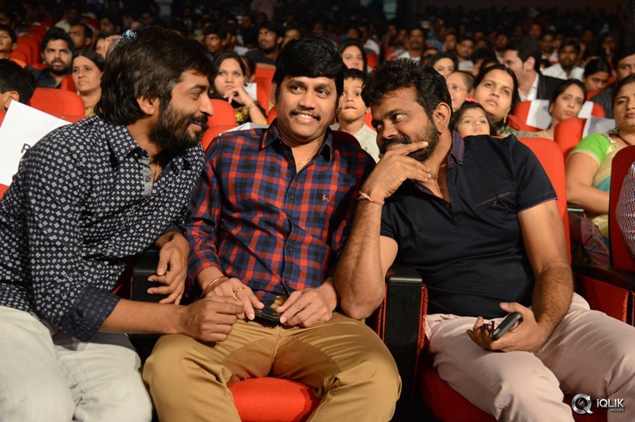 Krishna-Gadi-Veera-Prema-Gaadha-Movie-Audio-Launch